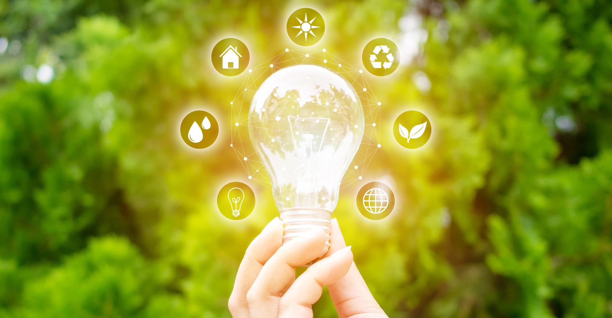 Can a flexible energy system help achieve net zero?