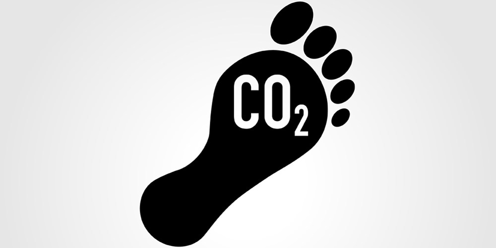 Consumption Emissions Report